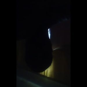 Meet your Posher, Ronnie